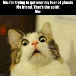 Image Title | Me: I'm trying to get over my fear of ghosts
My friend: That's the spirit
Me: | image tagged in memes,scared cat | made w/ Imgflip meme maker