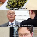 No, it's marijuana