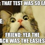 Ohh crap | ME: THAT TEST WAS SO EASY; ME:; FRIEND: YEA THE BACK WAS THE EASIEST | image tagged in memes,scared cat | made w/ Imgflip meme maker