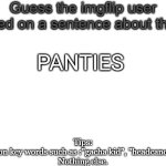 I bet you know... | PANTIES | image tagged in guess the imgflip user based on a sentence about them | made w/ Imgflip meme maker