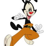 Yakko warner