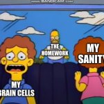 Homer chasing the Flanders | THE HOMEWORK; MY SANITY; MY BRAIN CELLS | image tagged in homer chasing the flanders | made w/ Imgflip meme maker