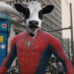 Spider cow