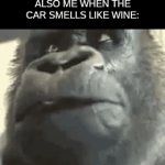 i'm dead | MY BROTHER: LETS DRIVE HOME
ME:OK
ALSO ME WHEN THE CAR SMELLS LIKE WINE: | image tagged in gifs,memes,dark humor | made w/ Imgflip video-to-gif maker