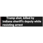 Parody Trump