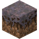 mycelium block