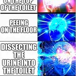 Growing brain 2 | PEEING IN THE TOILET; PEEING ON THE TOILET RIM; PEEING ON THE TOP OF THE TOILET; PEEING ON THE FLOOR; DISSECTING THE URINE INTO THE TOILET; PEEING UNDER THE SINK; PEEING IN THE SINK | image tagged in growing brain 2 | made w/ Imgflip meme maker