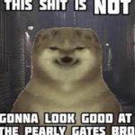 This Shit Is Not Gonna Look Good At The Pearly Gates Bro