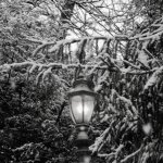 Streetlight in Winter.