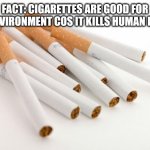 puff puff puff | FACT: CIGARETTES ARE GOOD FOR THE ENVIRONMENT COS IT KILLS HUMAN BEINGS | image tagged in cigarettes | made w/ Imgflip meme maker