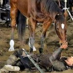 Viggo and his horse