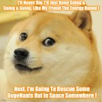 To The Rescue ! | I'll Never Die, I'll Just Keep Going & Going & Going, Like My Friend The Energy Bunny ! Next, I'm Going To Rescue Some DogeNauts Out In Space Somewhere ! | image tagged in memes,doge,elon musk,spacex | made w/ Imgflip meme maker