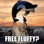 Orca | FREE FLUFFY? | image tagged in free willy blank | made w/ Imgflip meme maker