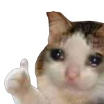 cat thumbsup