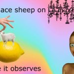 Place Sheep On Lemon While It Observes