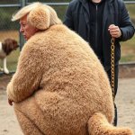 Good boy