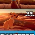 mischief and wrong doing (upvote me please) | EVERYTHING THE LIGHT TOUCHES IS MEMES AND TROLLS; ME; WHAT ABOUT THAT DARK AREA OVER THERE? THAT'S THE TRUTH, YOU MUST NEVER GO THERE | image tagged in lion king,mufasa and simba,lies,truth,memes | made w/ Imgflip meme maker