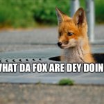 Da Fox?