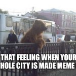 City Bear Meme | THAT FEELING WHEN YOUR WHOLE CITY IS MADE MEME OF | image tagged in memes,city bear | made w/ Imgflip meme maker