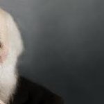 Charles Darwin