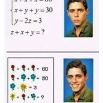 Flower Math Problem