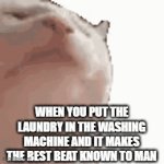 My motivation to even do the laundry xD | WHEN YOU PUT THE LAUNDRY IN THE WASHING MACHINE AND IT MAKES THE BEST BEAT KNOWN TO MAN | image tagged in gifs,relatable,relatable memes,funny,funny memes | made w/ Imgflip video-to-gif maker