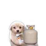 dog canister meme