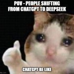 Approved crying cat | POV - PEOPLE SHIFTING FROM CHATGPT TO DEEPSEEK; CHATGPT BE LIKE | image tagged in approved crying cat | made w/ Imgflip meme maker