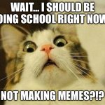 Scared Cat | WAIT… I SHOULD BE DOING SCHOOL RIGHT NOW? NOT MAKING MEMES?!? | image tagged in memes,scared cat | made w/ Imgflip meme maker