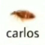 Carlos The Cockroach