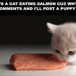 Cute little goober! | HERE'S A CAT EATING SALMON CUZ WHY NOT
100 COMMENTS AND I'LL POST A PUPPY NEXT | image tagged in gifs,cute cat,gif,memes | made w/ Imgflip video-to-gif maker