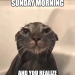 sunday morning | WHEN ITS A SUNDAY MORNING; AND YOU REALIZE YOU HAVE SCHOOL TOMMOROW | image tagged in wet cat | made w/ Imgflip meme maker