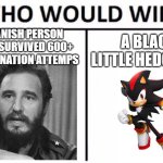 what | A SPANISH PERSON WHO'S SURVIVED 600+ ASSASSINATION ATTEMPS; A BLACK LITTLE HEDGEHOG | image tagged in memes,who would win | made w/ Imgflip meme maker