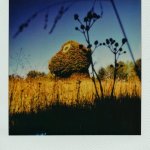 Polaroid I-2, i-Type Film.  Split-Rocker by Jeff Koons.