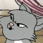 Chad Cat