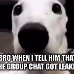 RIP | BRO WHEN I TELL HIM THAT THE GROUP CHAT GOT LEAKED | image tagged in gifs,group,dogs | made w/ Imgflip video-to-gif maker