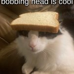 bread cat | public thinks girl bobbing head is cool; me: | image tagged in bread cat | made w/ Imgflip meme maker