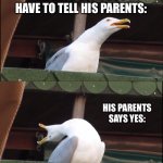 That always happen | ME TELLING MY FRIEND THAT IF I COULD COME TO HIS HOUSE:; HE SAYS SURE BUT HAVE TO TELL HIS PARENTS:; HIS PARENTS SAYS YES:; ME WHEN MY PARENTS SAYS NO: | image tagged in memes,inhaling seagull,true,friends | made w/ Imgflip meme maker