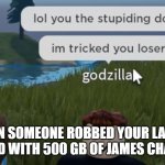 No offense pls dont cancel me | WHEN SOMEONE ROBBED YOUR LAPTOP
BUT ITS FILLED WITH 500 GB OF JAMES CHARLES VIDEOS | image tagged in stupiding dong | made w/ Imgflip meme maker