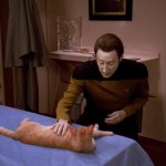 Data And His Cat Spot