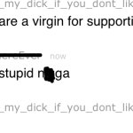 You stupid n- 2