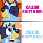 Who's with me?! | CALLING BLUEY A GIRL; CALLING BLUEY A BOY | image tagged in bluey drake | made w/ Imgflip meme maker