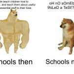 Buff Doge vs. Cheems Meme | We teach children how to behave, and teach them about useful and essential stuff to their lives. oH nO sOmEbOdY fAiLeD a TeSt!?!?!?!? Schools then; Schools now | image tagged in memes,buff doge vs cheems | made w/ Imgflip meme maker