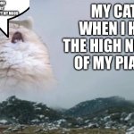 Mariachi Cat | FOOD IS GOOD
AM HUNGRY
HUMAN, YOU TERRIFY MY MOOD; MY CAT WHEN I HIT THE HIGH NOTES OF MY PIANO | image tagged in mariachi cat,memes,funny memes,funny,cats,cat | made w/ Imgflip meme maker