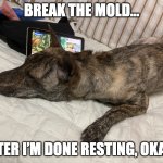 Dog in bed | BREAK THE MOLD... AFTER I’M DONE RESTING, OKAY? | image tagged in asleepy dog | made w/ Imgflip meme maker