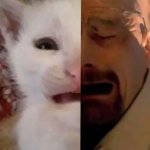 Walter and cat crying