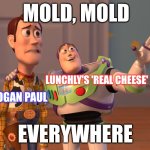 Lunchly be like: | MOLD, MOLD; LUNCHLY'S 'REAL CHEESE'; LOGAN PAUL; EVERYWHERE | image tagged in memes,x x everywhere,funny | made w/ Imgflip meme maker