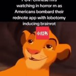 Rednote | image tagged in gifs,memes,funny,shitpost,brainrot,fun stream | made w/ Imgflip video-to-gif maker