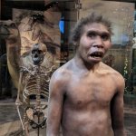 Prehistoric human