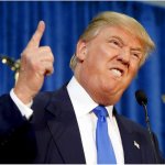Trump-toé pas